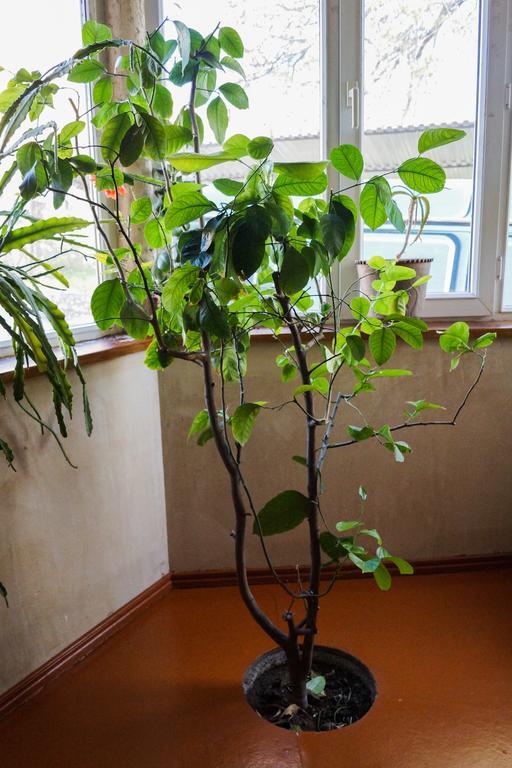 Areni House B&B المظهر الخارجي الصورة